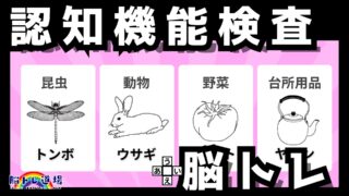 運転免許の認知機能対策＆脳トレ｜【2025年No.13】youtube動画を公開