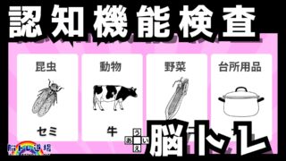 運転免許の認知機能対策＆脳トレ｜【2025年No.17】youtube動画を公開