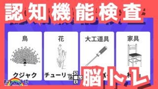 運転免許の認知機能対策＆脳トレ｜【2025年No.19】youtube動画を公開